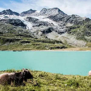 3* Couette-café Meublè Stelvio