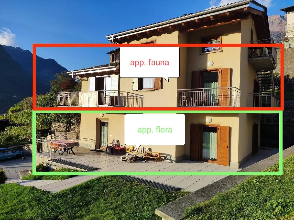 Pisolo Selvaggio Apartment Tirano
