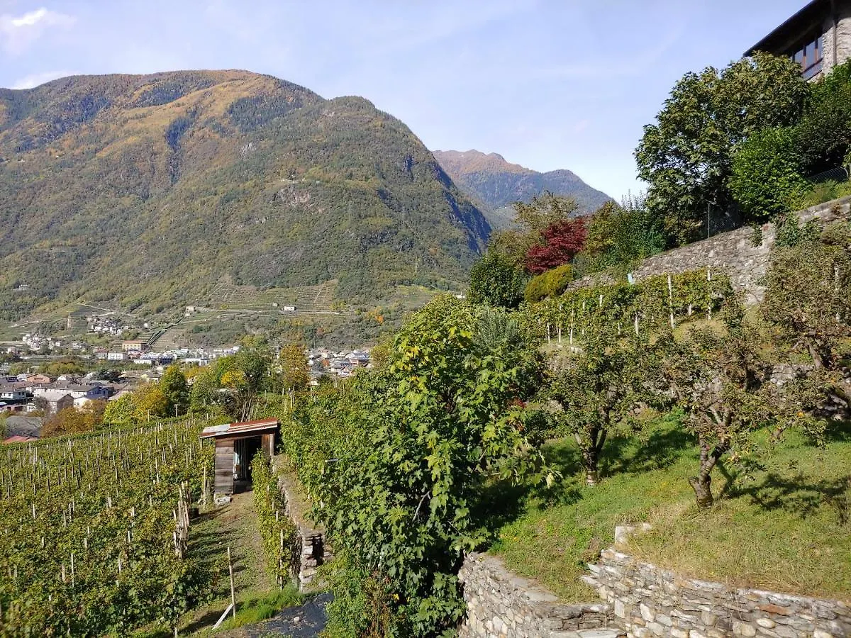 Pisolo Selvaggio Apartment Tirano